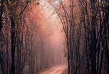 国足FIFA排名创10年新低 27亚洲杯或以三档身份抽签.