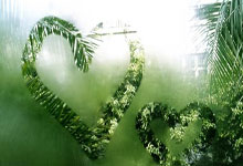 东升国际：CBA北京计划内出意外，一节被逆转19分，不是老天安排是有人安排.