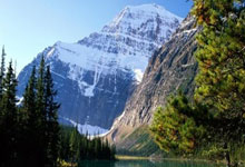 国足FIFA排名创10年新低 27亚洲杯或以三档身份抽签.