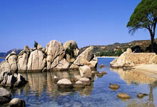 国足FIFA排名创10年新低 27亚洲杯或以三档身份抽签.